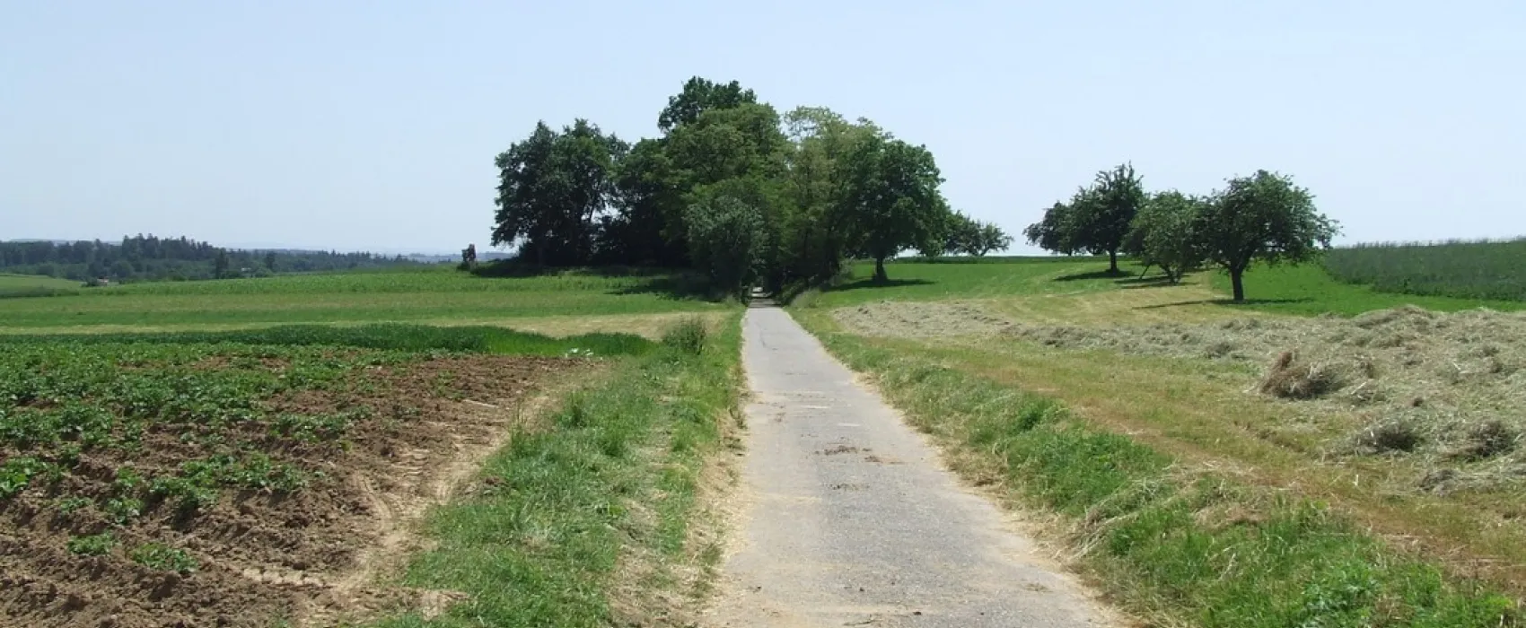 Zur alten Fähre