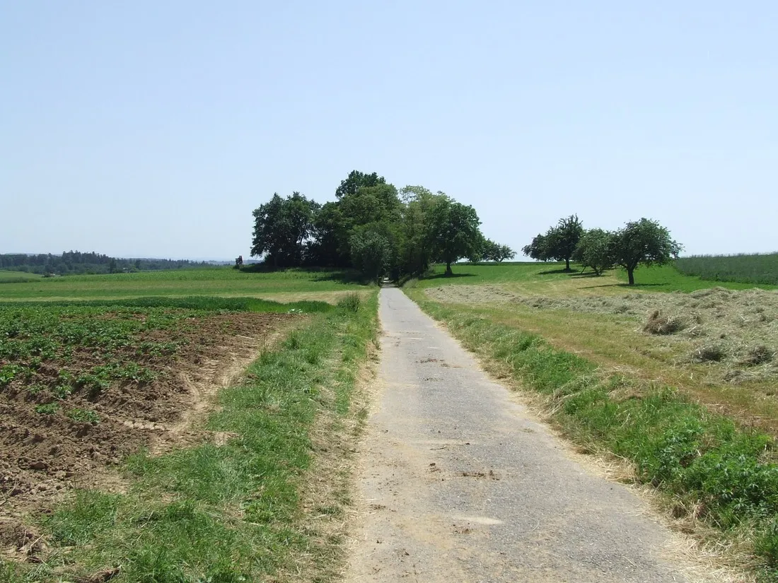 zur-alten-fahre-neckargerach-1ouuk