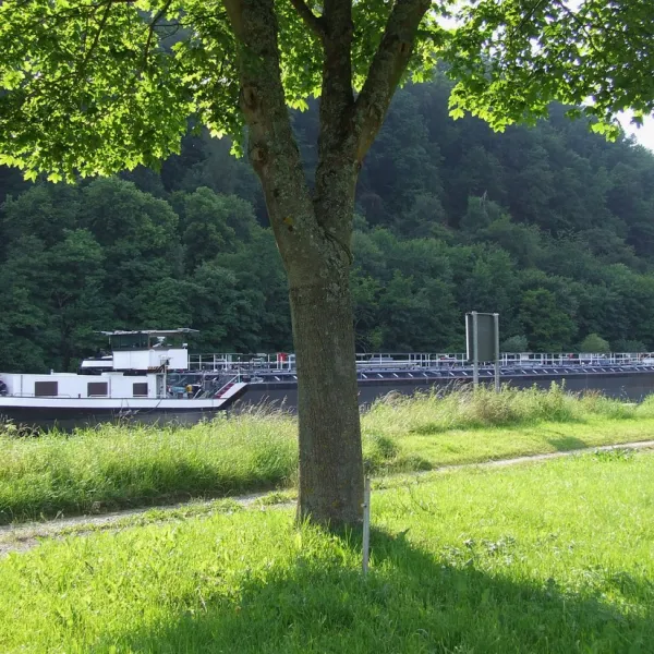 zur-alten-fahre-neckargerach-mxzll