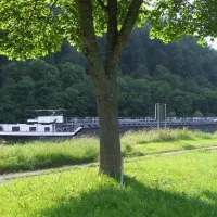 zur-alten-fahre-neckargerach-mxzll
