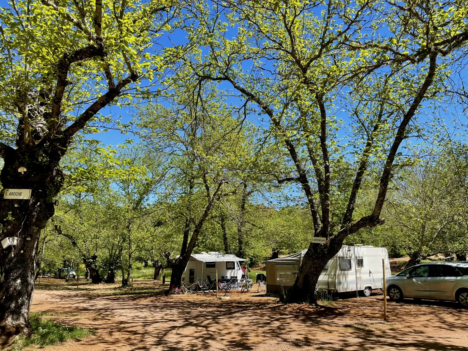 camping-el-madronal-fuenteheridos-7irxg