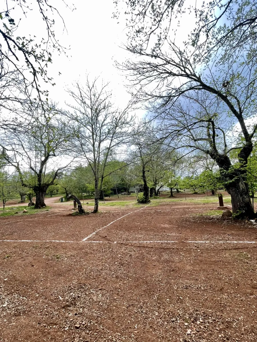 camping-el-madronal-fuenteheridos-9nlyu