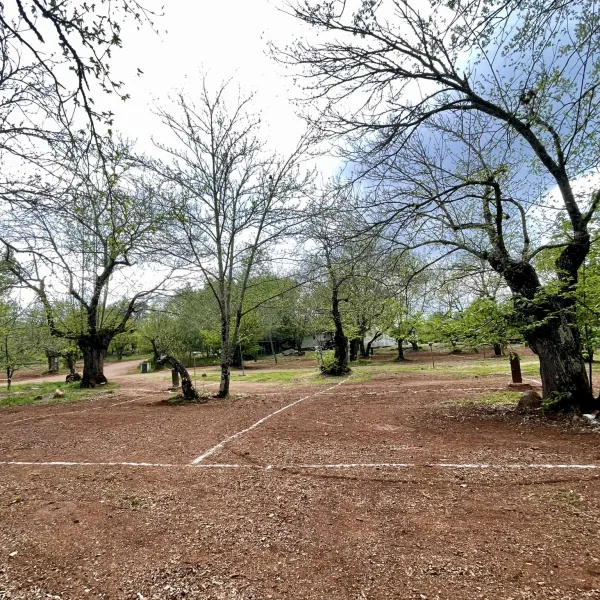 camping-el-madronal-fuenteheridos-9nlyu