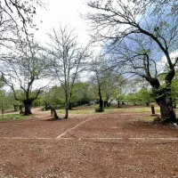camping-el-madronal-fuenteheridos-9nlyu