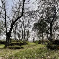 camping-el-madronal-fuenteheridos-alm5e