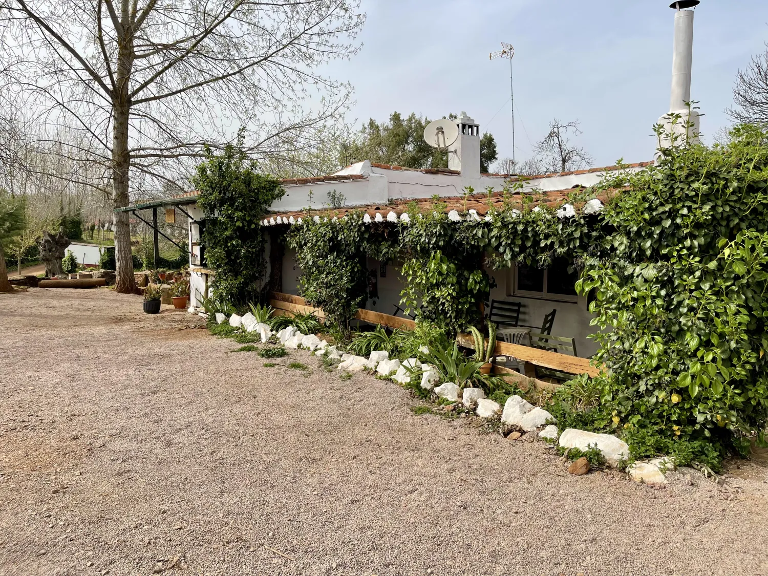camping-el-madronal-fuenteheridos-ftssv