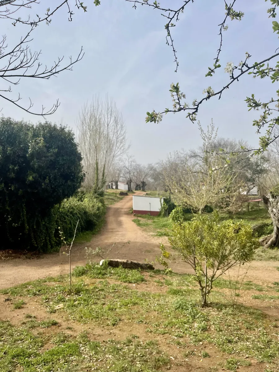 camping-el-madronal-fuenteheridos-jxuzh