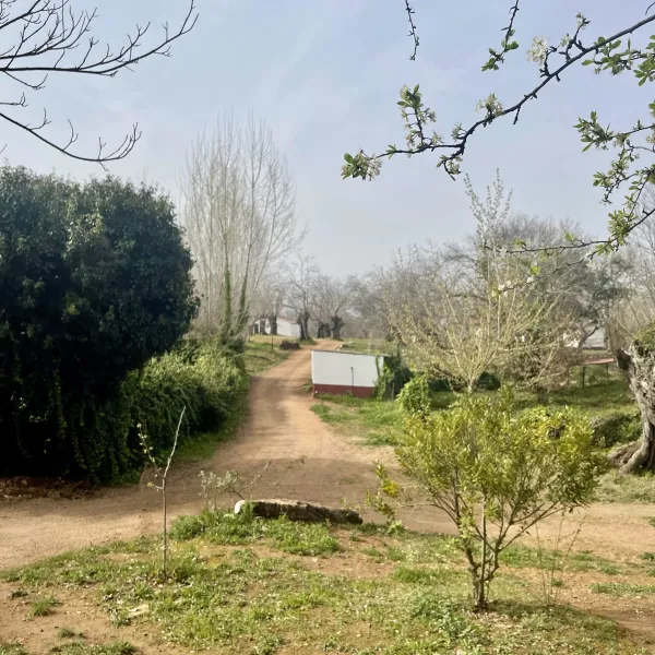 camping-el-madronal-fuenteheridos-jxuzh
