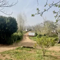 camping-el-madronal-fuenteheridos-jxuzh