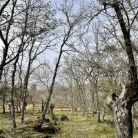 camping-el-madronal-fuenteheridos-teg5o