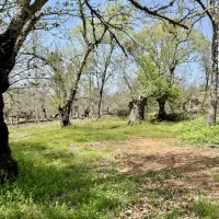 camping-el-madronal-fuenteheridos-xr1qa