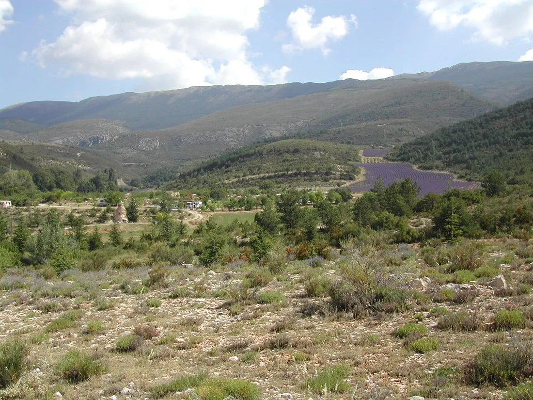 camping-aire-naturelle-de-lions-georges-moustiers-ste-marie-k4v3c