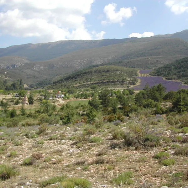 camping-aire-naturelle-de-lions-georges-moustiers-ste-marie-k4v3c