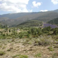 camping-aire-naturelle-de-lions-georges-moustiers-ste-marie-k4v3c
