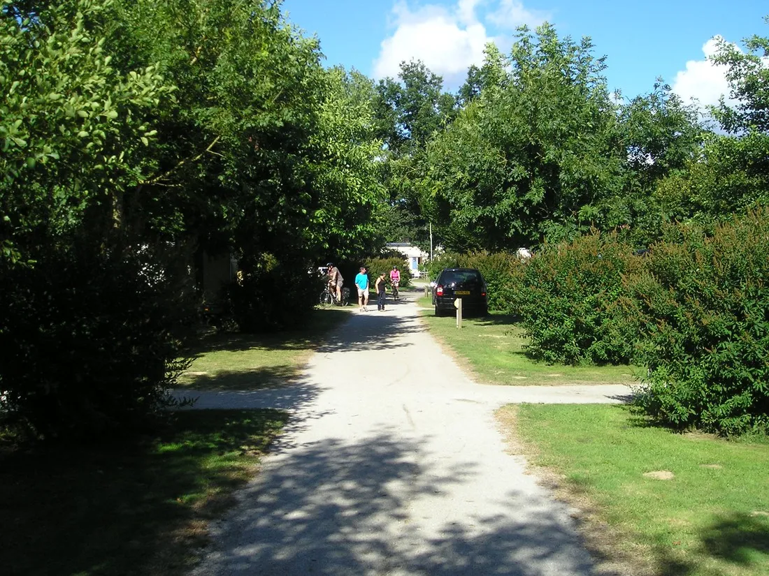 la-vallee-du-ninian-taupont-morbihan-vts62