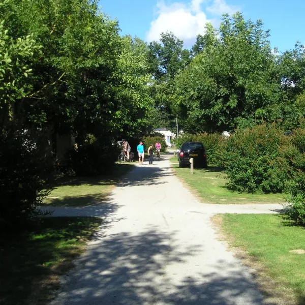 la-vallee-du-ninian-taupont-morbihan-vts62