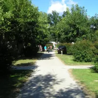 la-vallee-du-ninian-taupont-morbihan-vts62