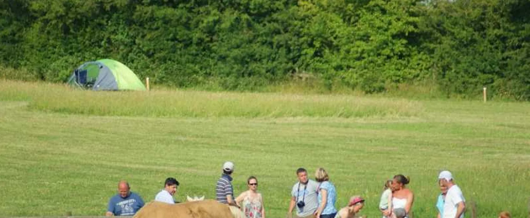 Mousley House Farm Campsite and Glamping