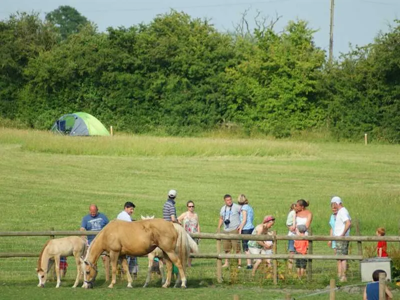 mousley-house-farm-campsite-and-glamping-warwick-o0ee2