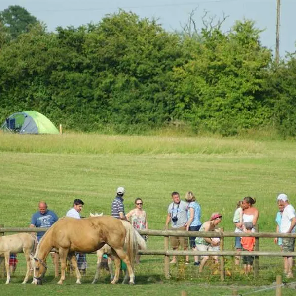 mousley-house-farm-campsite-and-glamping-warwick-o0ee2