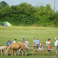mousley-house-farm-campsite-and-glamping-warwick-o0ee2