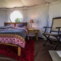 mousley-house-farm-campsite-and-glamping-warwick-v2rr9
