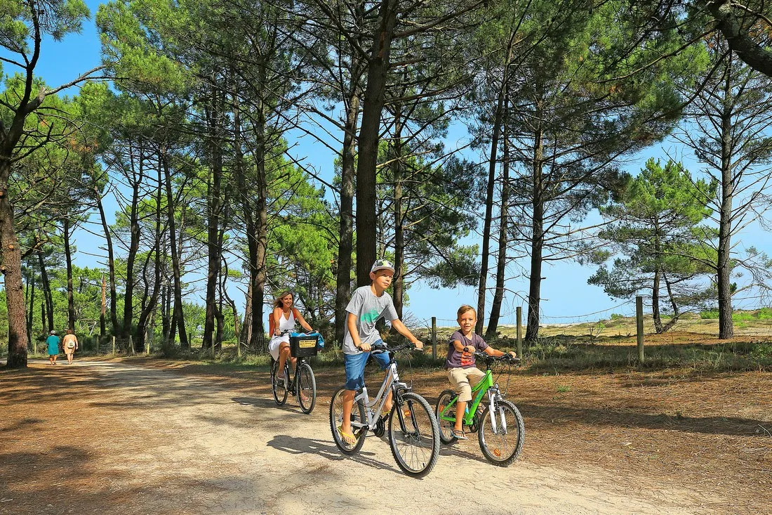 campeole-plage-sud-biscarrosse-landes-gymo5