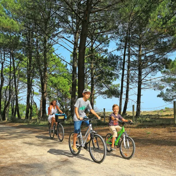 campeole-plage-sud-biscarrosse-landes-gymo5