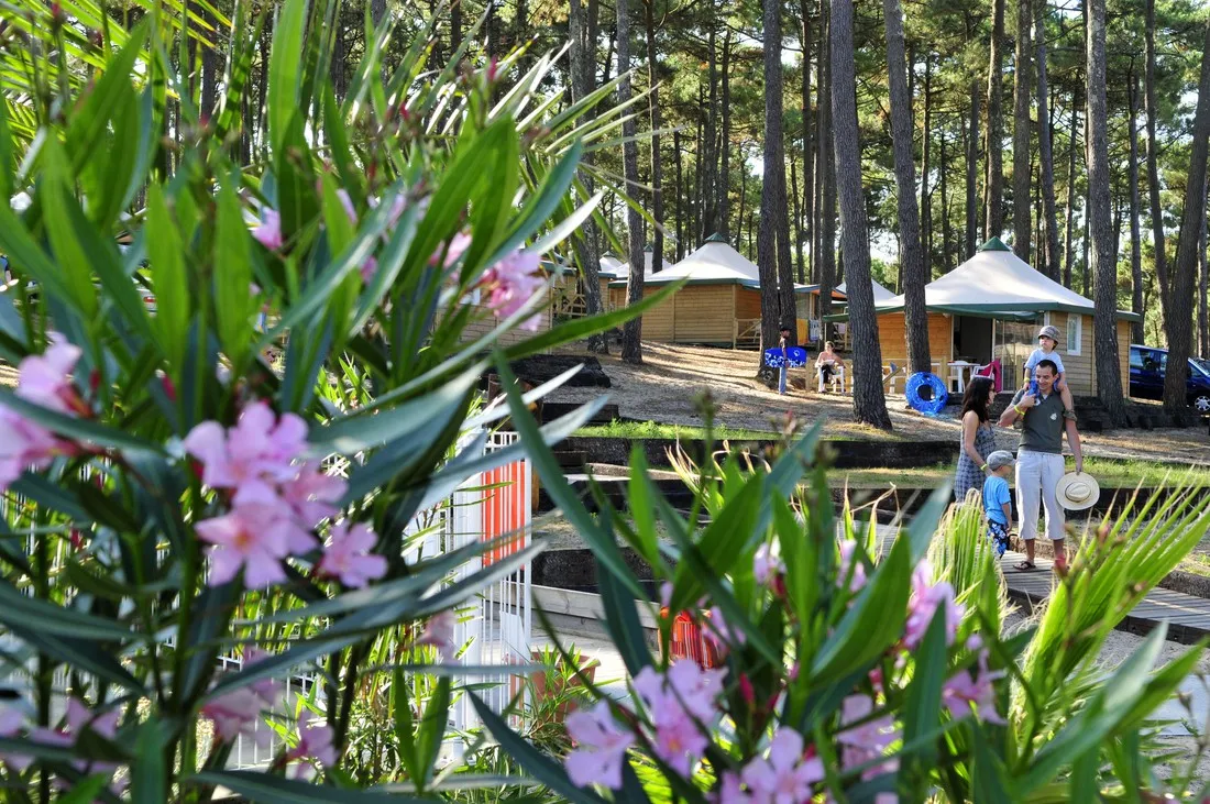 campeole-plage-sud-biscarrosse-landes-yovjy