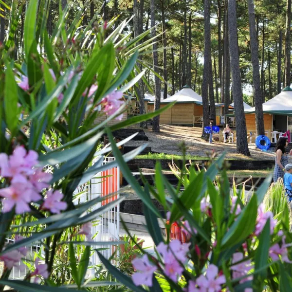 campeole-plage-sud-biscarrosse-landes-yovjy
