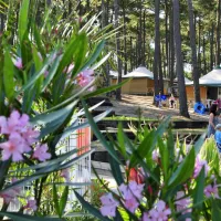 campeole-plage-sud-biscarrosse-landes-yovjy