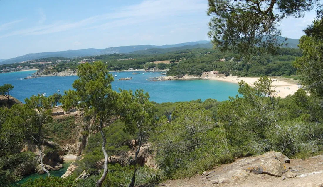 benelux-palamos-lnl1x
