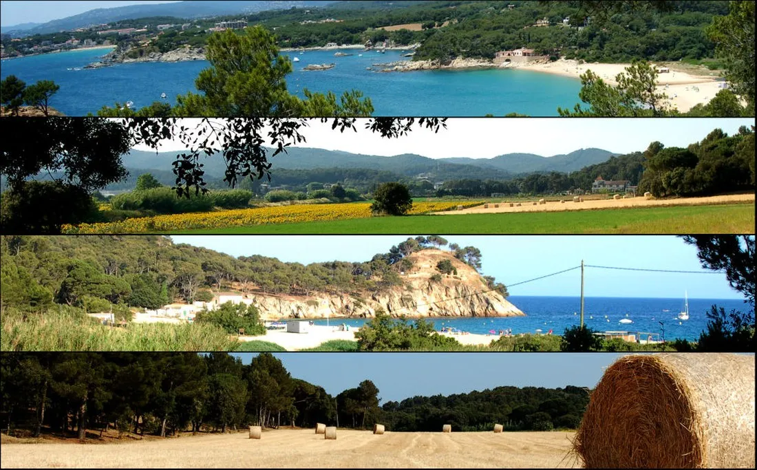 benelux-palamos-skauc