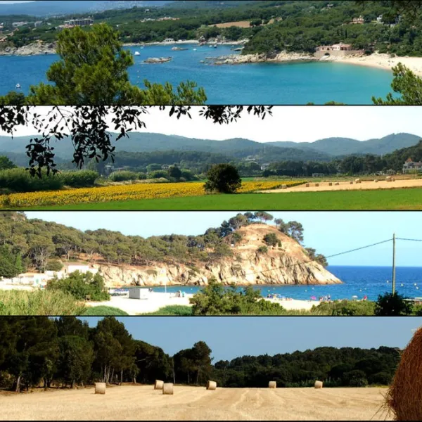 benelux-palamos-skauc