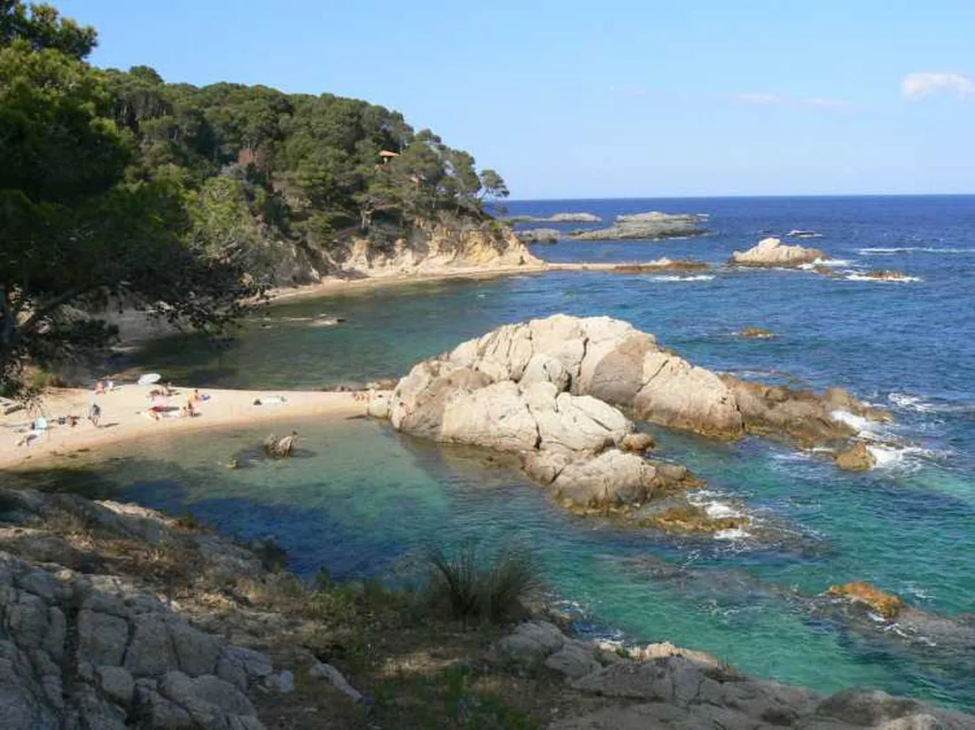 benelux-palamos-yldnr