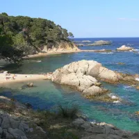 benelux-palamos-yldnr