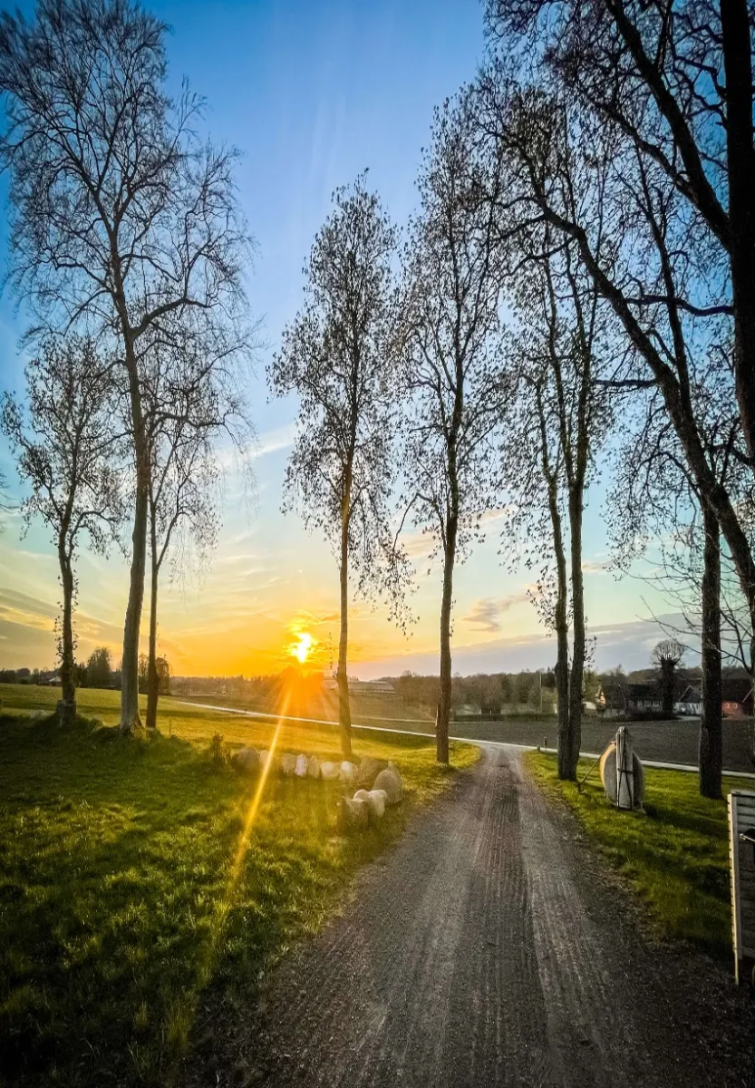 frenningelund-vollsjo-tilcd