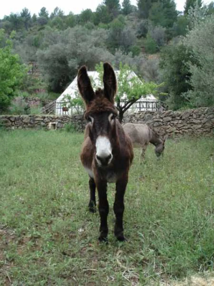 refugio-marnes-la-jaima-spanje-r8qq8