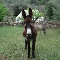 refugio-marnes-la-jaima-spanje-r8qq8