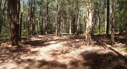 the-pines-campground-qmbjl