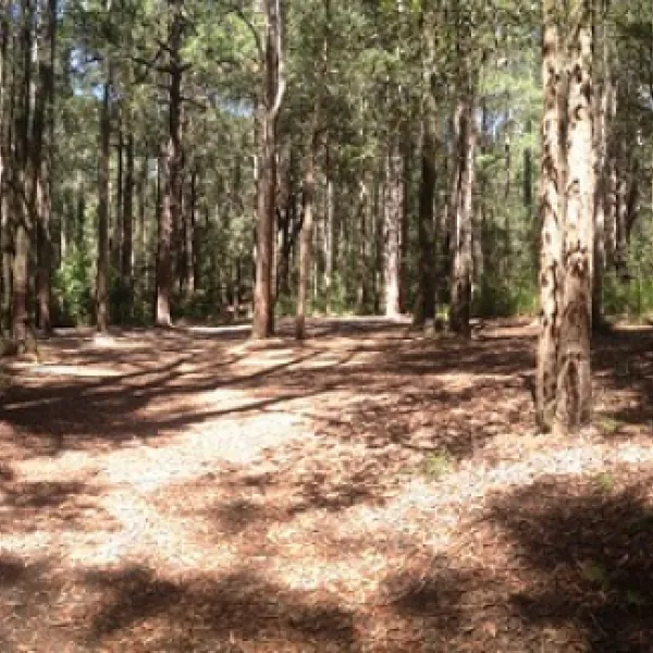 The Pines Campground