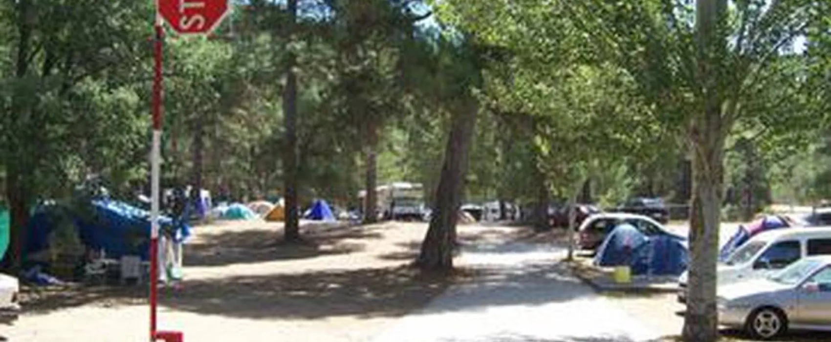 Camping la Dehesa De Cañamares
