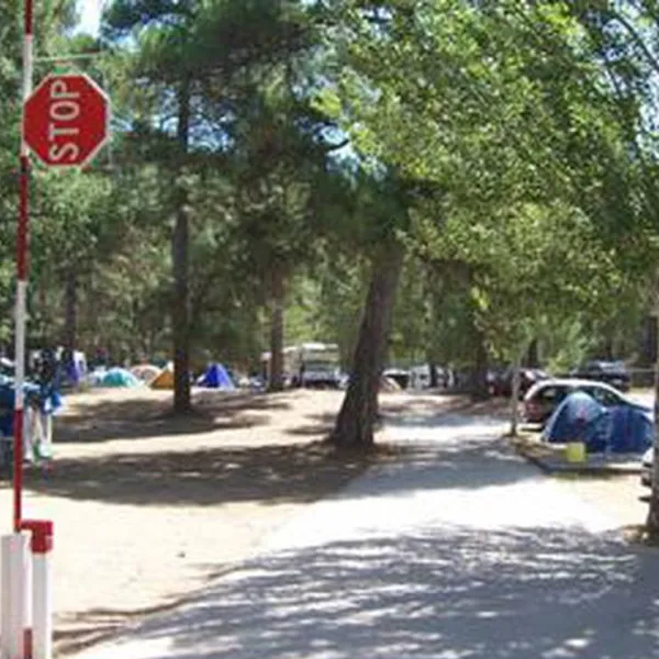 camping-la-dehesa-de-canamares-canamares-lnkla