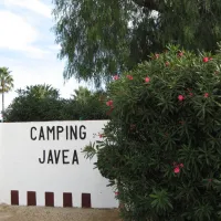 Javea