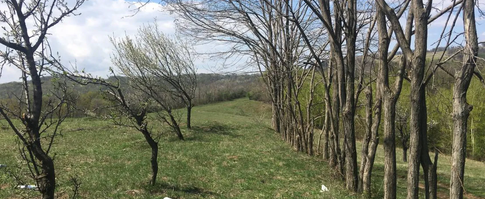 Camping Bobicești
