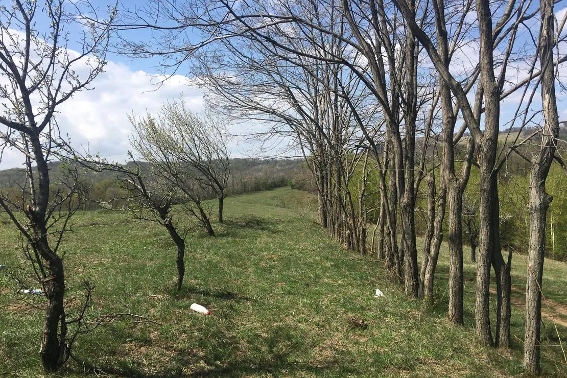 camping-bobicesti-bobicesti-2sg2l
