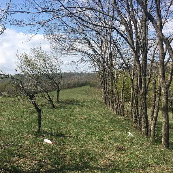 camping-bobicesti-bobicesti-2sg2l