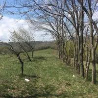 camping-bobicesti-bobicesti-2sg2l