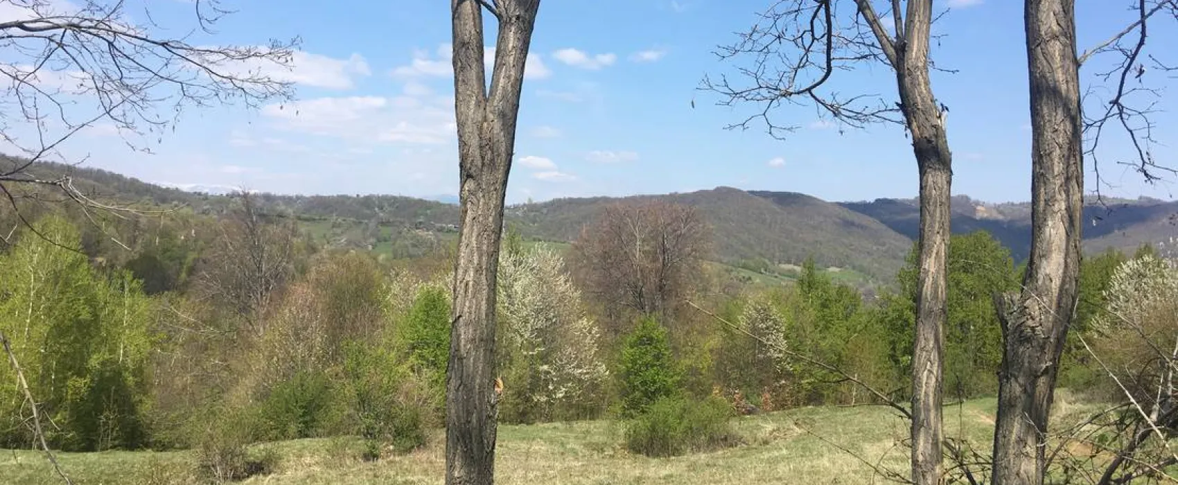 Camping Bobicești