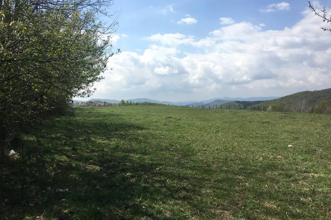 camping-bobicesti-bobicesti-ly2ki